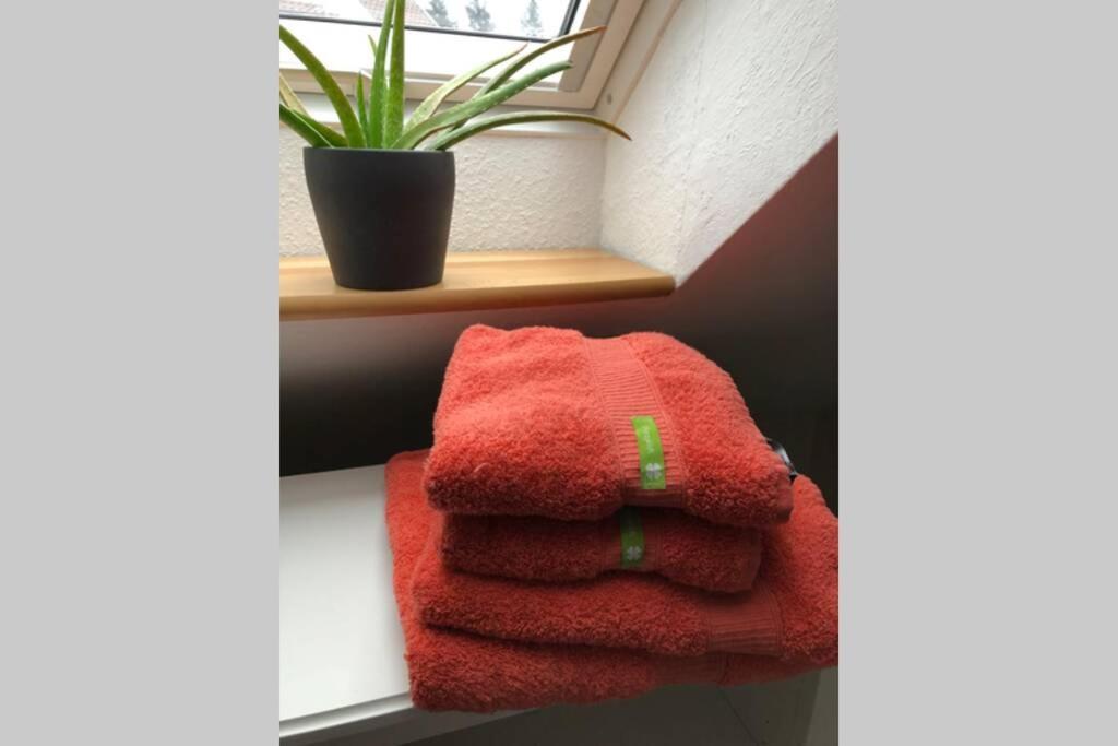 Komfortferienwohnung Harzglueck Auf 2 Etagen Hohegeiß 외부 사진